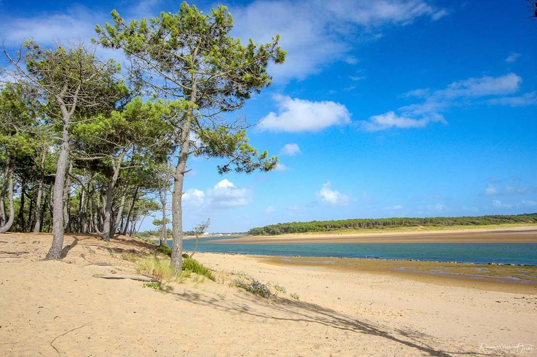 Appartement, Vue Imprenable Sur Port Talmont-Saint-Hilaire Zewnętrze zdjęcie